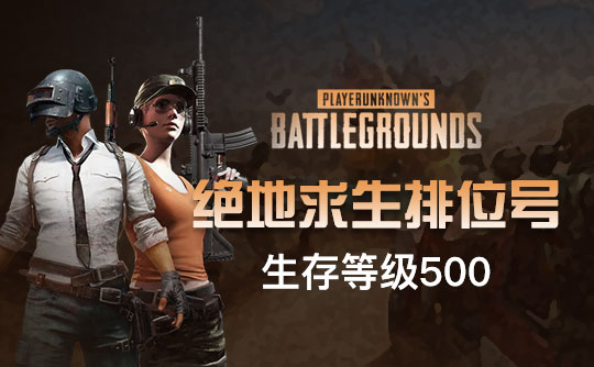 绝地求生满级排位号