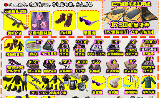 【豪华版F】PGC2022+滑雪套+柏林套成品号