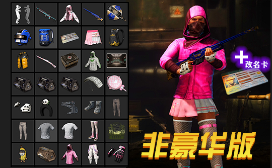 【非豪华版】改名卡+PGC2023全套+悲喜战神套+信条+闪耀套装+熊猫+夏日冲浪MINI14+悠扬情歌98K+你的第一锅成品号