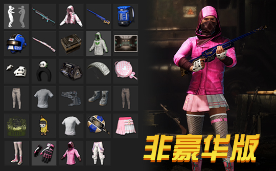 【非豪华版】PGC2023全套+悲喜战神套+闪耀套装+熊猫+夏日冲浪MINI14+悠扬情歌98K+你的第一锅成品号