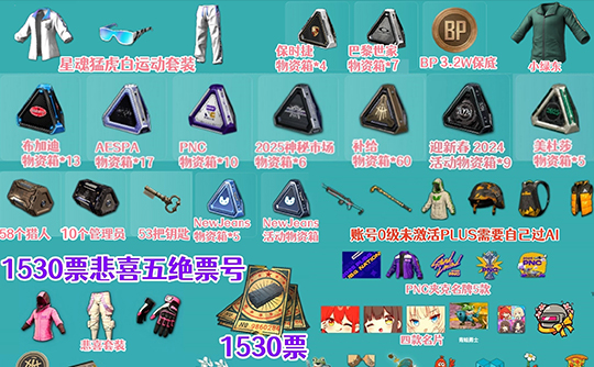 【非豪华版E】1530黑货券+红鞋红面套+闪耀五件套+悲喜坚韧套装+星魂白运动+战警套装+锦衣夜行套装+物资箱成品号