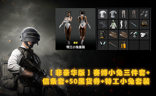【非豪华版】赛博小兔三件套+信条套+50黑货券+特工小兔套装成品号